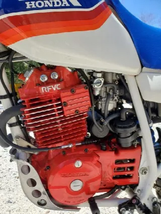 Foto 6 di 6: Honda Motorcycles XL 600R