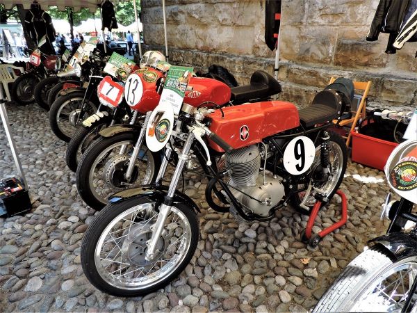 Immagine 10