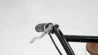 Foto 12 di 40: Indian Scout 101