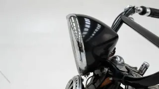 Foto 24 di 40: Indian Scout 101