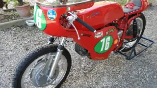 Foto 4 di 7: Aermacchi Harley Davidson 250