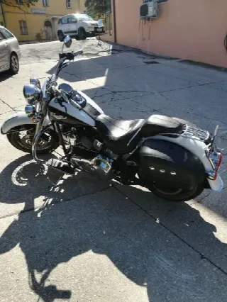 Foto 2 di 6: Harley Davidson softail