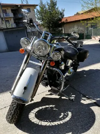 Foto 6 di 6: Harley Davidson softail