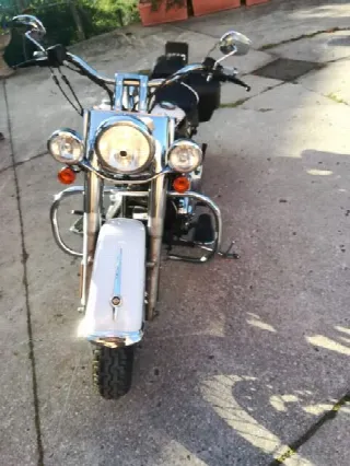 Foto 4 di 6: Harley Davidson softail