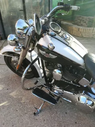 Foto 5 di 6: Harley Davidson softail