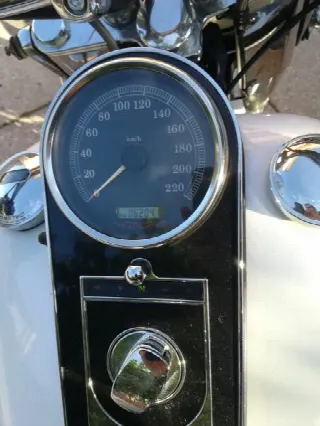 Foto 3 di 6: Harley Davidson softail