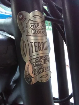 Foto 18 di 22: Terrot F 250